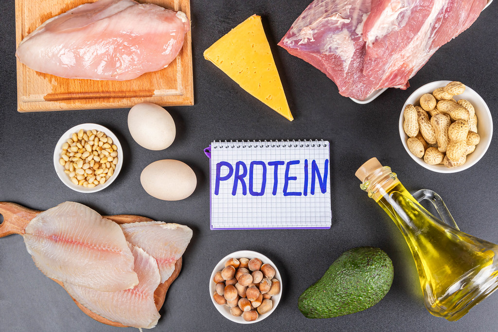 Hvorfor er protein viktig?